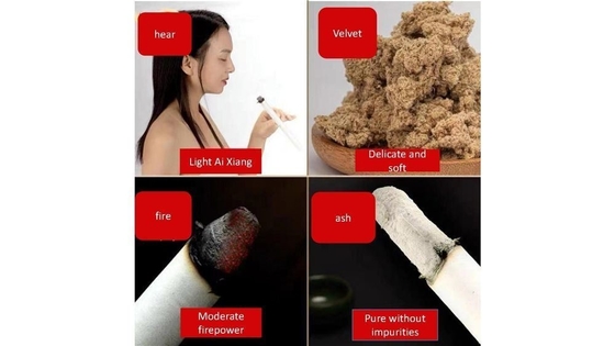 Revitalize-se com Ai Tiao. Bastões de Moxibustião Médica Chinesa.